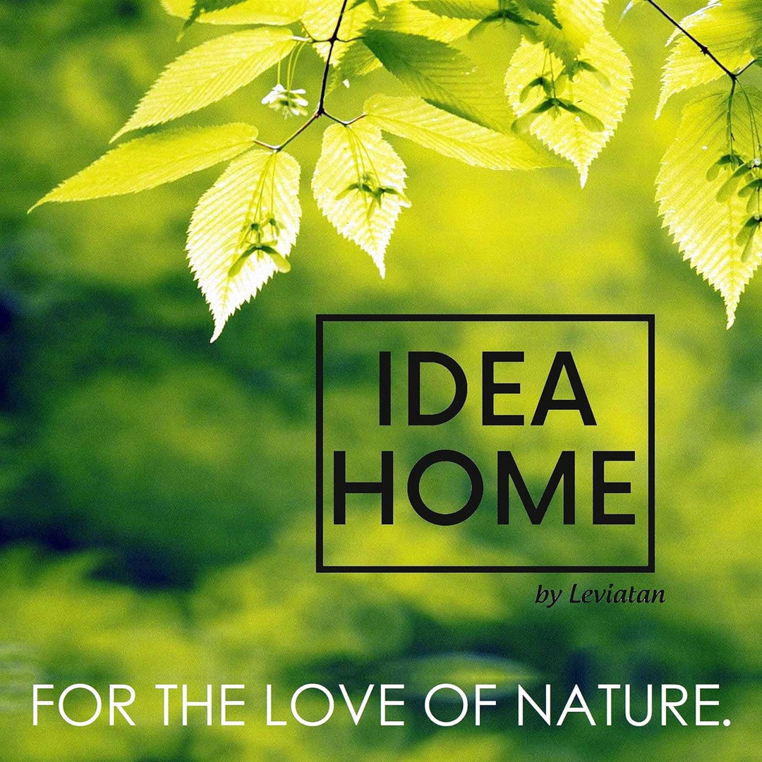 IDEA HOME APUS Nistkasten für Mauersegler, Vögel, aus Massivem-Holz - Verschraubt, Mauersegler