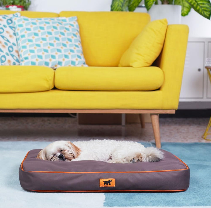 FERPLAST Hundematte & Katzenmatte Klein - Orthopädisches Hundebett - Hundebett Waschbar & Kratzfest