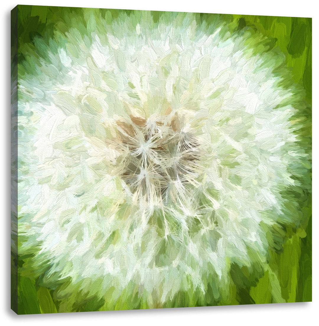 grosse wilde Pusteblume, Format: 70x70 auf Leinwand, XXL riesige Bilder fertig gerahmt mit Keilrahme
