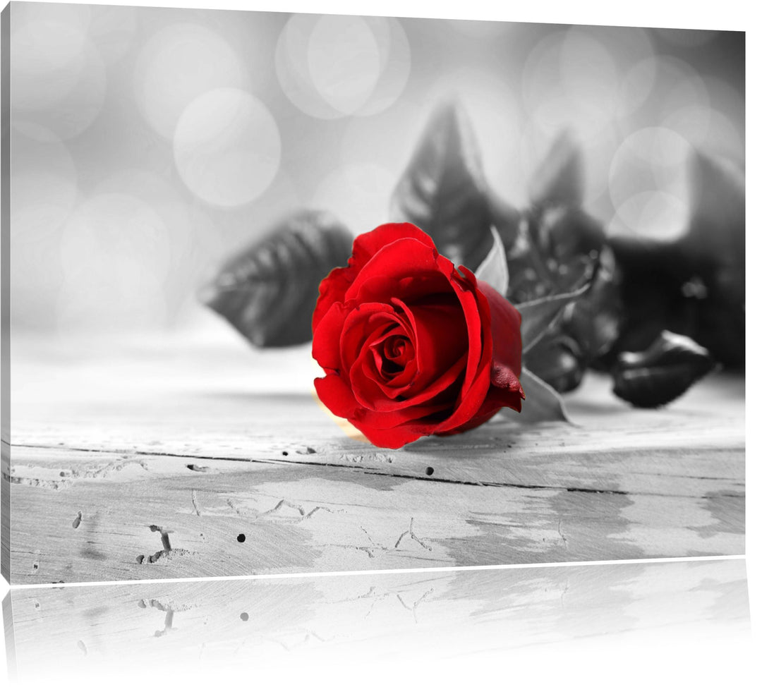 schöne Rose auf altem Holztisch schwarz/weiss Format: 100x70 auf Leinwand, XXL riesige Bilder fertig