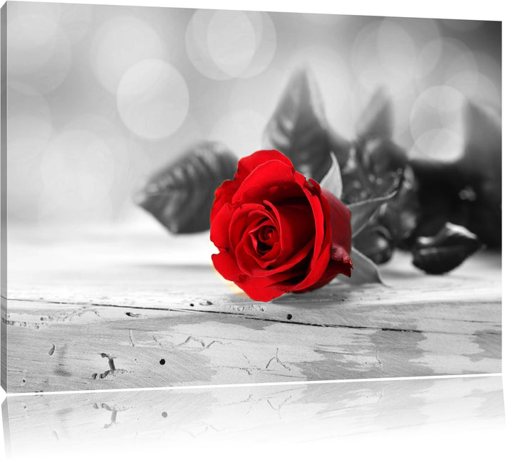 schöne Rose auf altem Holztisch schwarz/weiss Format: 100x70 auf Leinwand, XXL riesige Bilder fertig