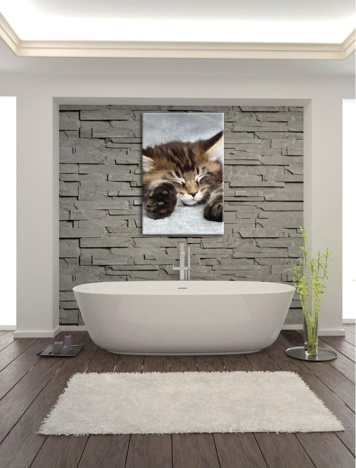 Süsse Baby Katze, Format: 100x70 auf Leinwand, XXL riesige Bilder fertig gerahmt mit Keilrahmen, Kun