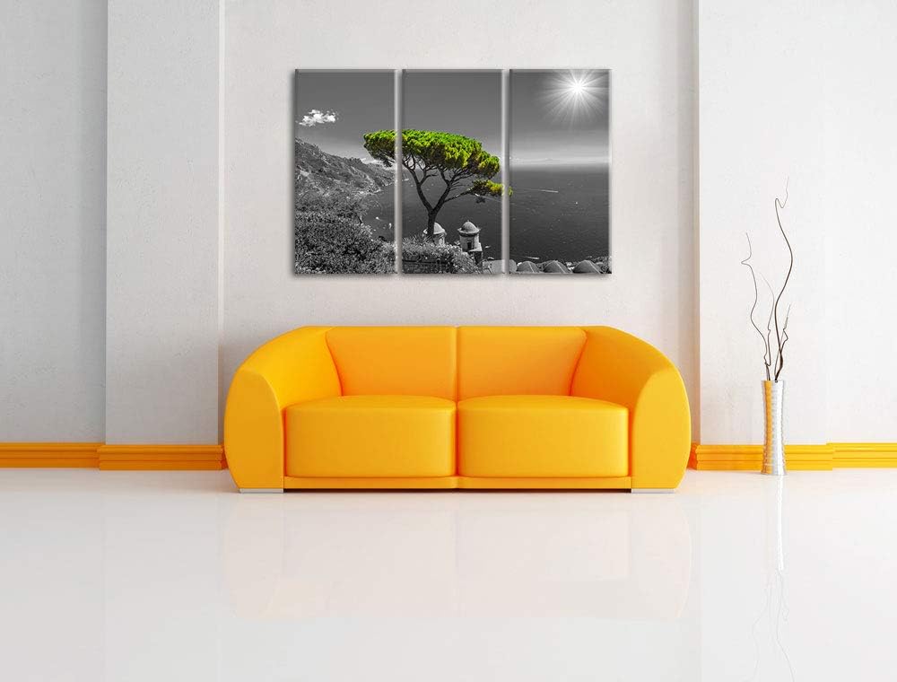 Pixxprint Baum am Mittelmeer als Leinwandbild | Grösse: 3 Teilig (120x80) | Wandbild| Kunstdruck | f
