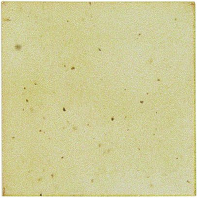 Botz Glasur Vanille 800 ml 95788
