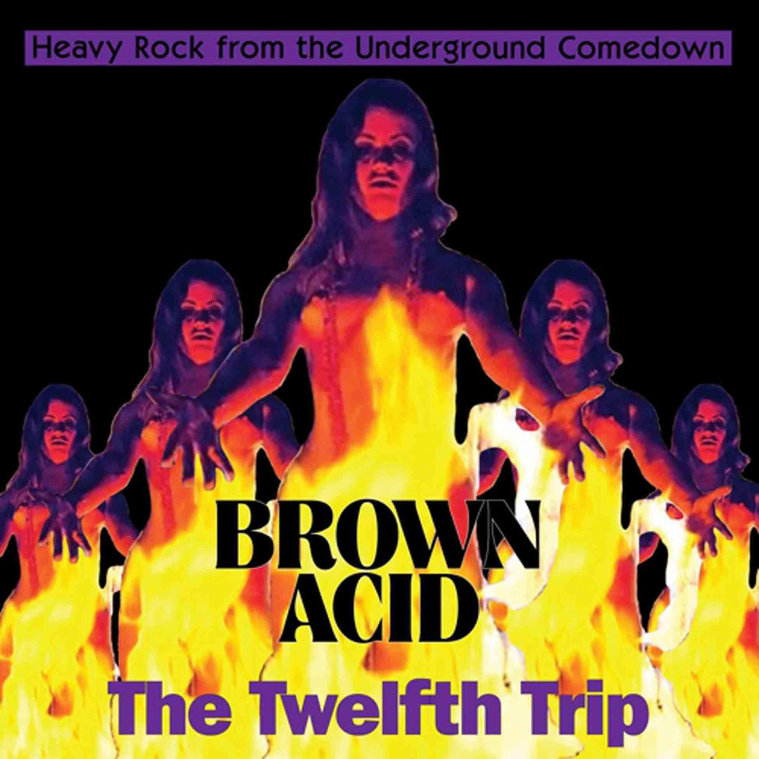 Brown Acid: the 12th Trip (Black), Vinyl