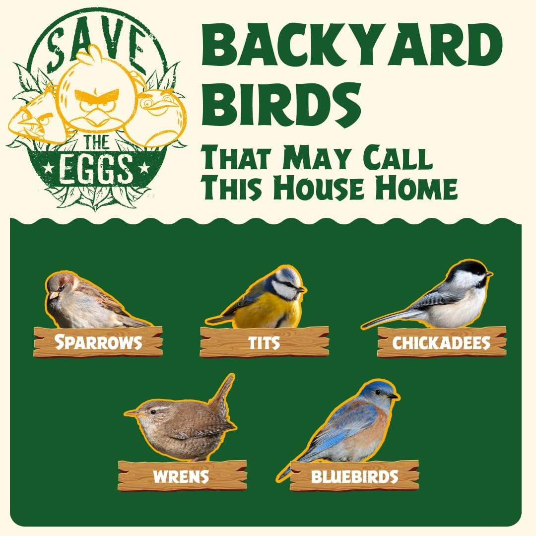 Angry Birds X WildYard DIY Vogelhaus-Bausatz – Holz-Nistkasten zum Bemalen & Bauen, Zedernholz Vogel