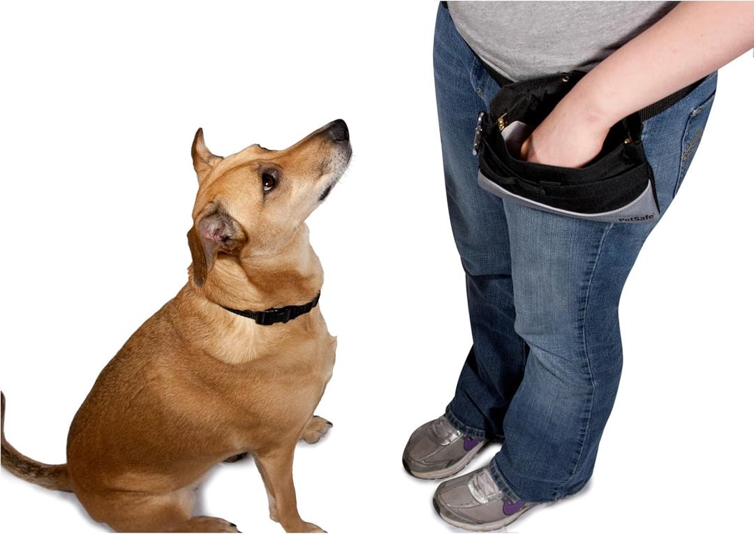 PetSafe 74144 GL Treat Pouch Black - Tasche für Leckereien Schwarz Sport, Schwarz Sport