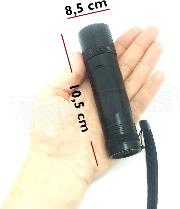 TFA Dostmann LED-Taschenlampe Lumatic Extreme, 43.2029, mit CREE LED 200m Leuchtreichweite, spritzwa