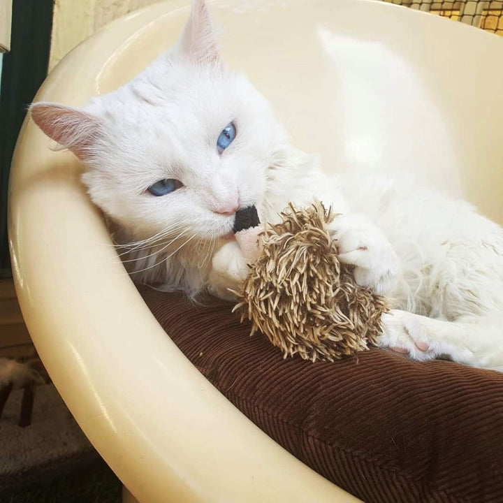 Vealind GiGwi Melody Chaser, interaktives Spielzeug für Katzen und Hunde (Igel)