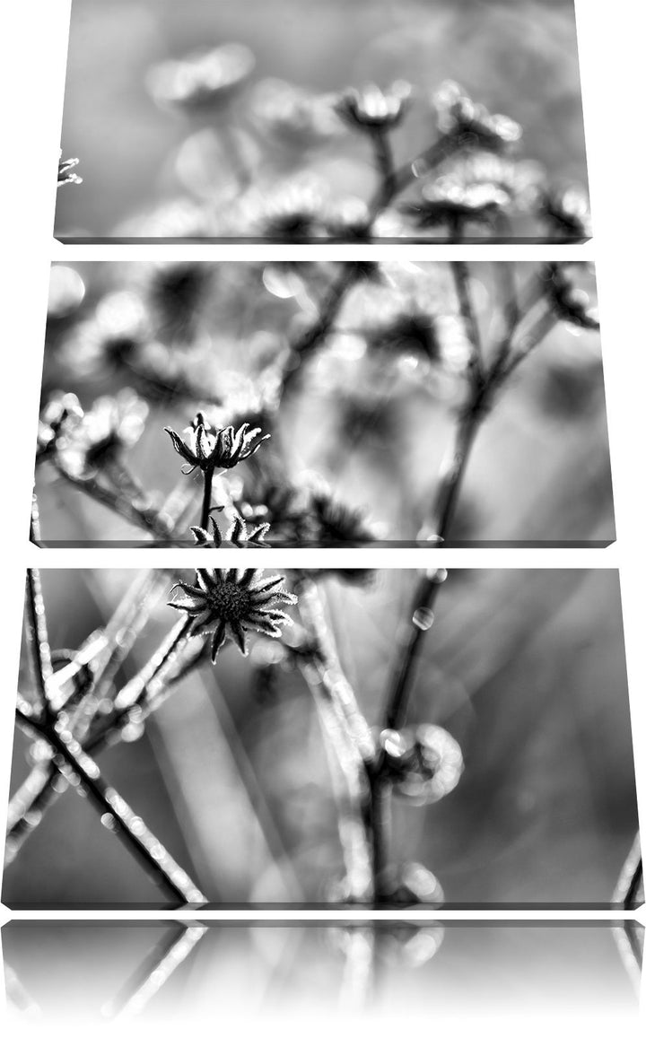 Pixxprint Monocrome, Pflanzen im Frost 3-Teiler Leinwandbild 120x80 Bild auf Leinwand