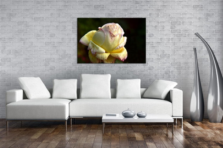 Vergänglichkeit der Natur Format: 80x60 als Leinwandbild, Motiv fertig gerahmt auf Echtholzrahmen, H