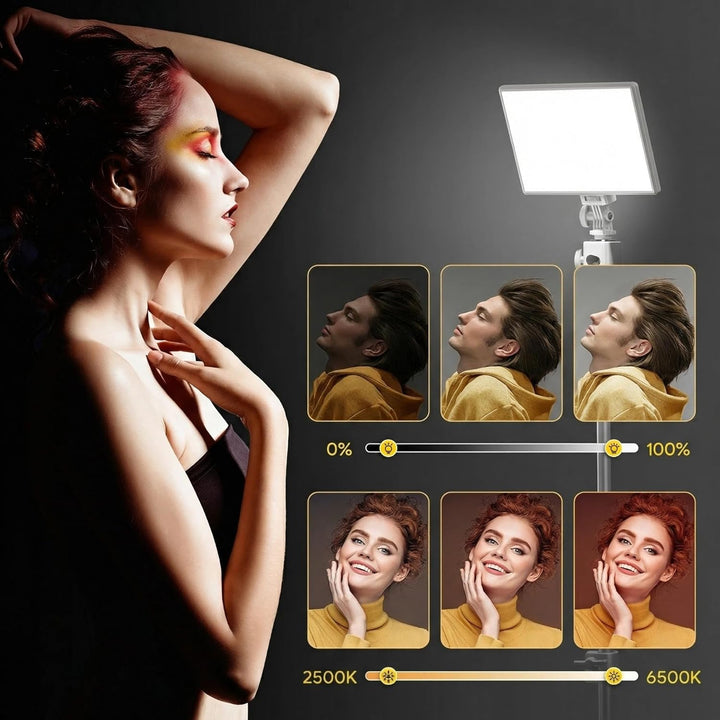 RALENO LED Videoleuchte, eingebauter 4000 mAh * 2 Akku 3200-5600 K CRI95 0-100% Helligkeitseinstellu