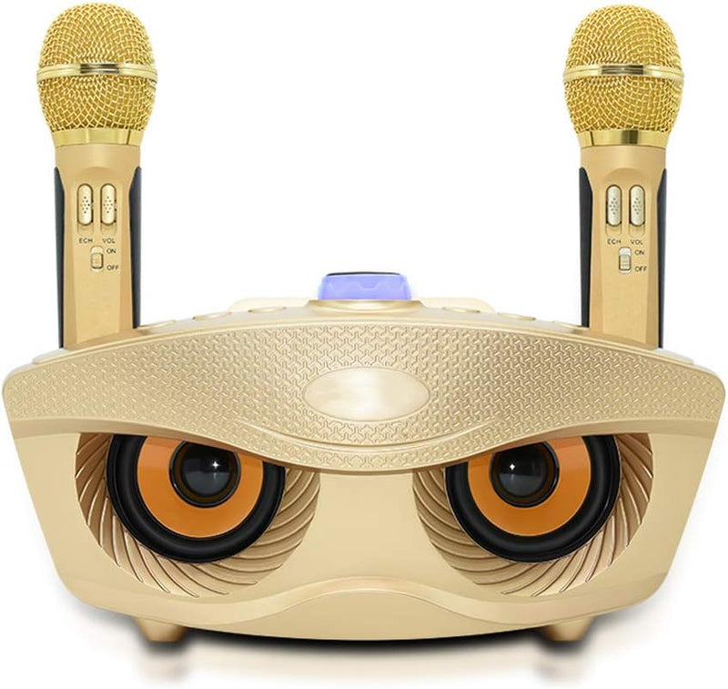 Karaoke Maschine,Bluetooth Karaoke Anlage,Tragbares PA-System mit 2 drahtlosen Mikrofonen,Lautsprech