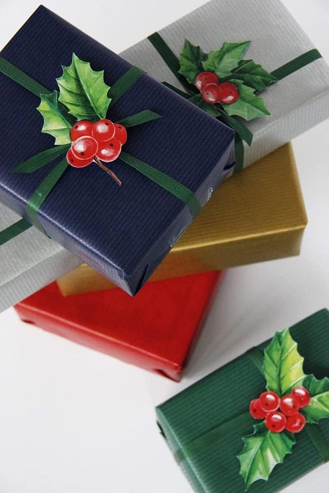 Clairefontaine 507506C Rolle Geschenkpapier (50 x 0,7 m, spezielle Breite, Kraftpapier, strapazierfä