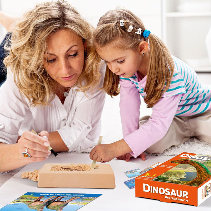 EGGBOX Dinosaurier Skelett Ausgrabungsset für Kinder, 2-in-1 Brachiosaurus Dino Dig & Malset, Dinosa