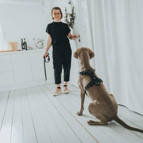 HUNTER AALBORG Hundegeschirr, Leder, S-M/2, schwarz schwarz S-M/2, schwarz S-M/2