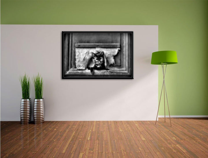 Pixxprint Monocrome, Schwarze Katze durch Hundeklappe, Format: 100x70 auf Leinwand, 100x70