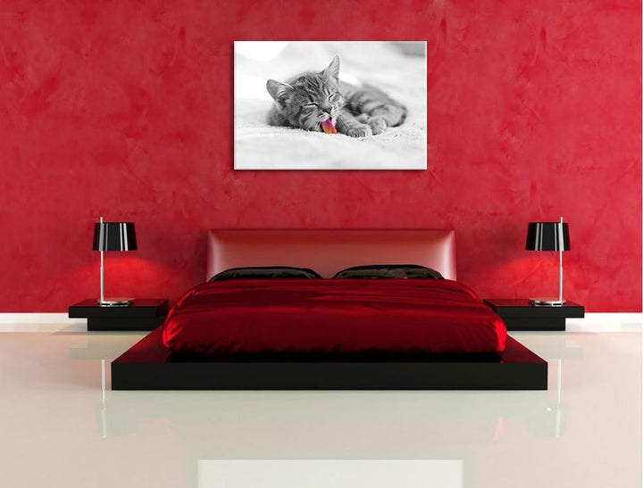 kleines gähnendes Kätzchen schwarz/weiss Format: 100x70 auf Leinwand, XXL riesige Bilder fertig gera