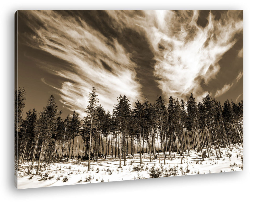 deyoli verschneiter Nadelwald Format: 80x60 Effekt: Sepia als Leinwand, Motiv fertig gerahmt auf Ech