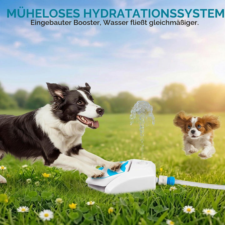 ALL FOR PAWS Hunde Trinkbrunnen Outdoor - Automatischer Wasserspender mit Sprinkler für Hunde, Hydra
