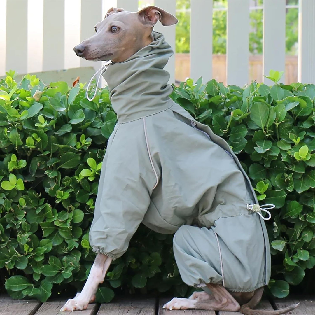 Italienische Greyhound wasserdichte Jacke, Winddichte Hundemantel Jumpsuit Mit Reissverschluss Leich