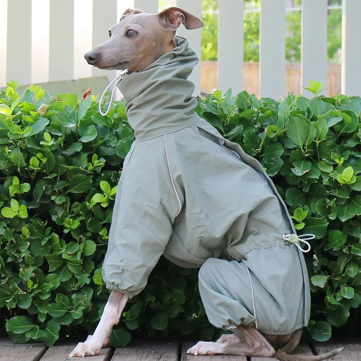 Italienische Greyhound wasserdichte Jacke, Winddichte Hundemantel Jumpsuit Mit Reissverschluss Leich