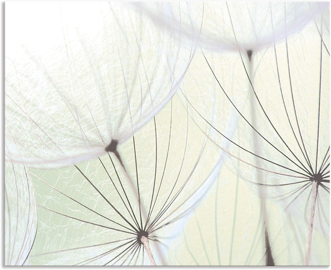 ARTland Spritzschutz Küche aus Alu für Herd Spüle 80x65 cm (BxH) Küchenrückwand mit Motiv Blume Pust