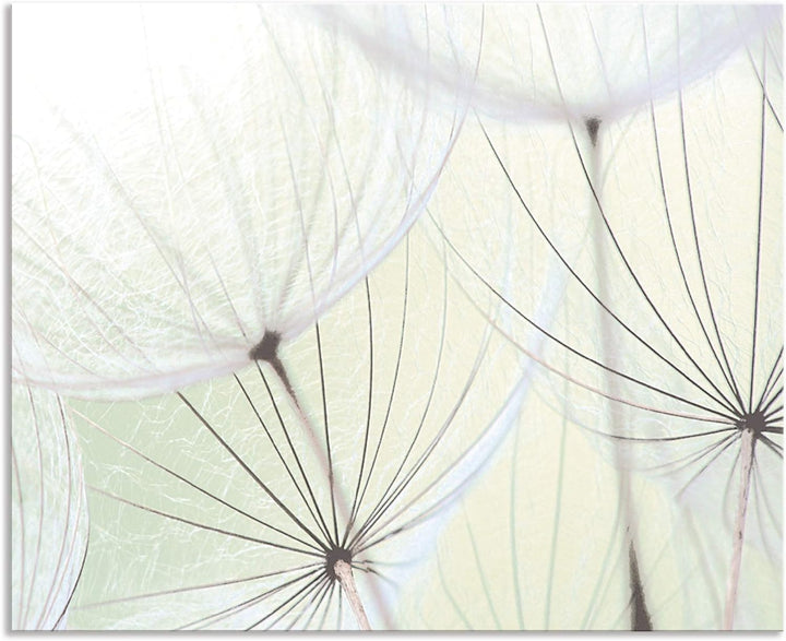 ARTland Spritzschutz Küche aus Alu für Herd Spüle 80x65 cm (BxH) Küchenrückwand mit Motiv Blume Pust