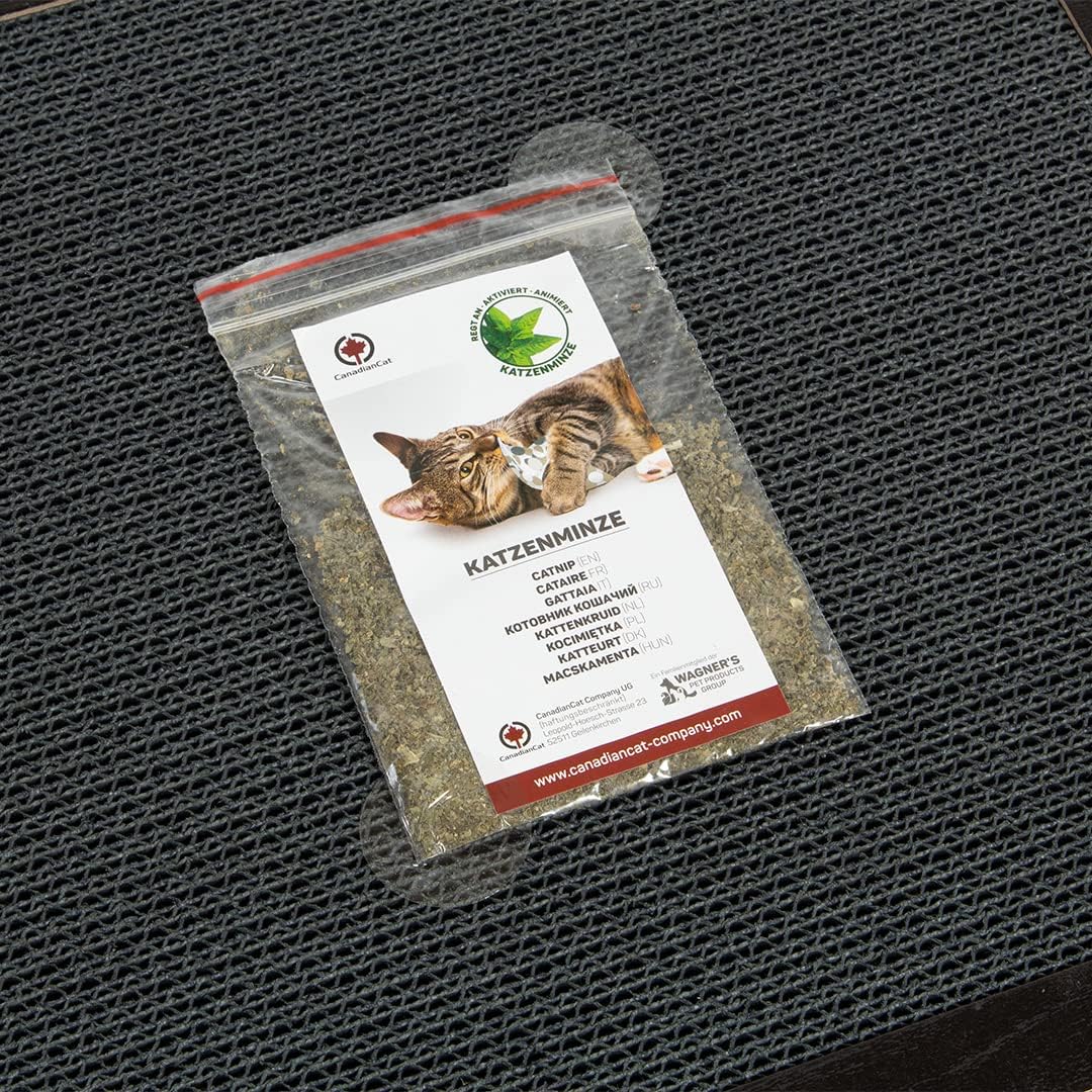 CanadianCat Company | XXL Katzenspielplatz 85 x 54 x 5,8 cm mit integrierter Kratzpappe | PlayPlate