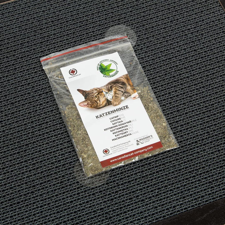 CanadianCat Company | XXL Katzenspielplatz 85 x 54 x 5,8 cm mit integrierter Kratzpappe | PlayPlate