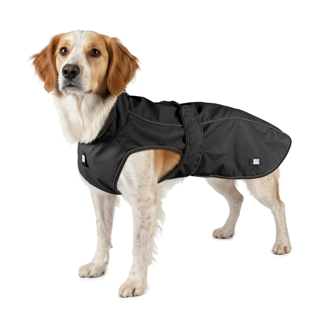 Max & Molly Regenmantel Hund wasserdicht, L, Schwarz, Sportliche Regenjacke für Hunde mit verstellba