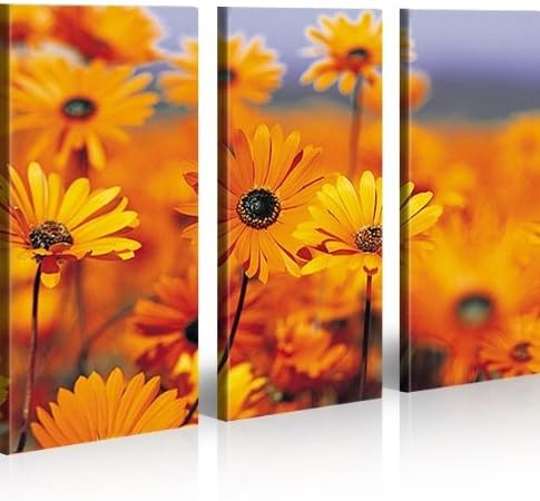 islandburner Bild Bilder auf Leinwand Pretty Blumen Margeriten XXL Poster Leinwandbild Wandbild Deko