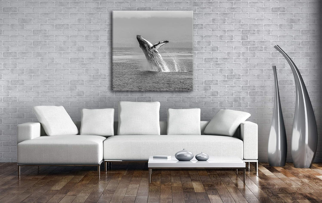 deyoli atemberaubender Buckelwal im Meer im Format: 60x60 Effekt: Schwarz&Weiss als Leinwandbild, Mo