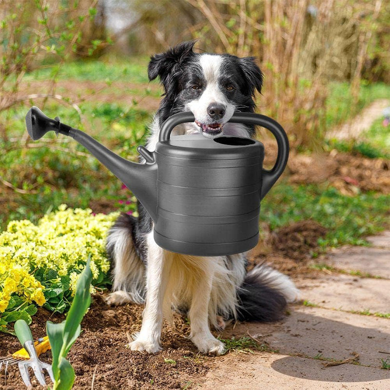 Vilde Gartengiesskanne Giesskanne klassisches Design mit Sieb Masseinteilung zum Bewässern Besprühen