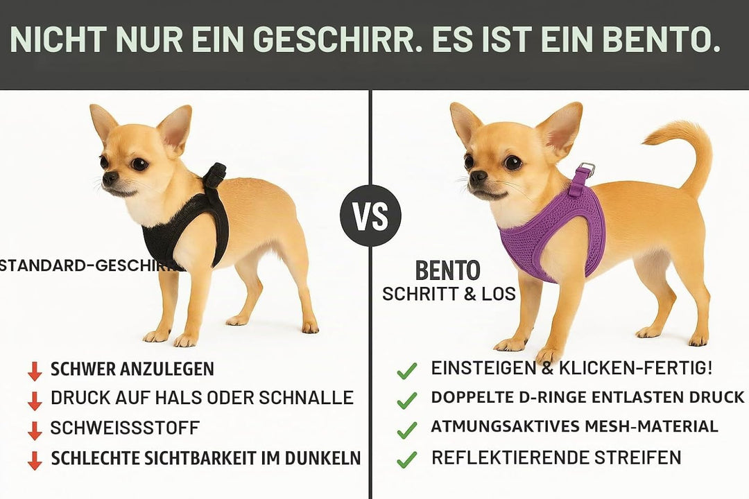 Hundegeschirr - hundegeschirr kleine Hunde - 30–35cm A. Brust / 37–40cm B. Bauch - Flamingo Harness