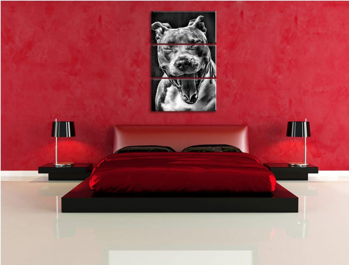 Pixxprint Lachender Pitbull als Leinwandbild | Grösse: 3 Teilig (120x80) | Wandbild| Kunstdruck | fe