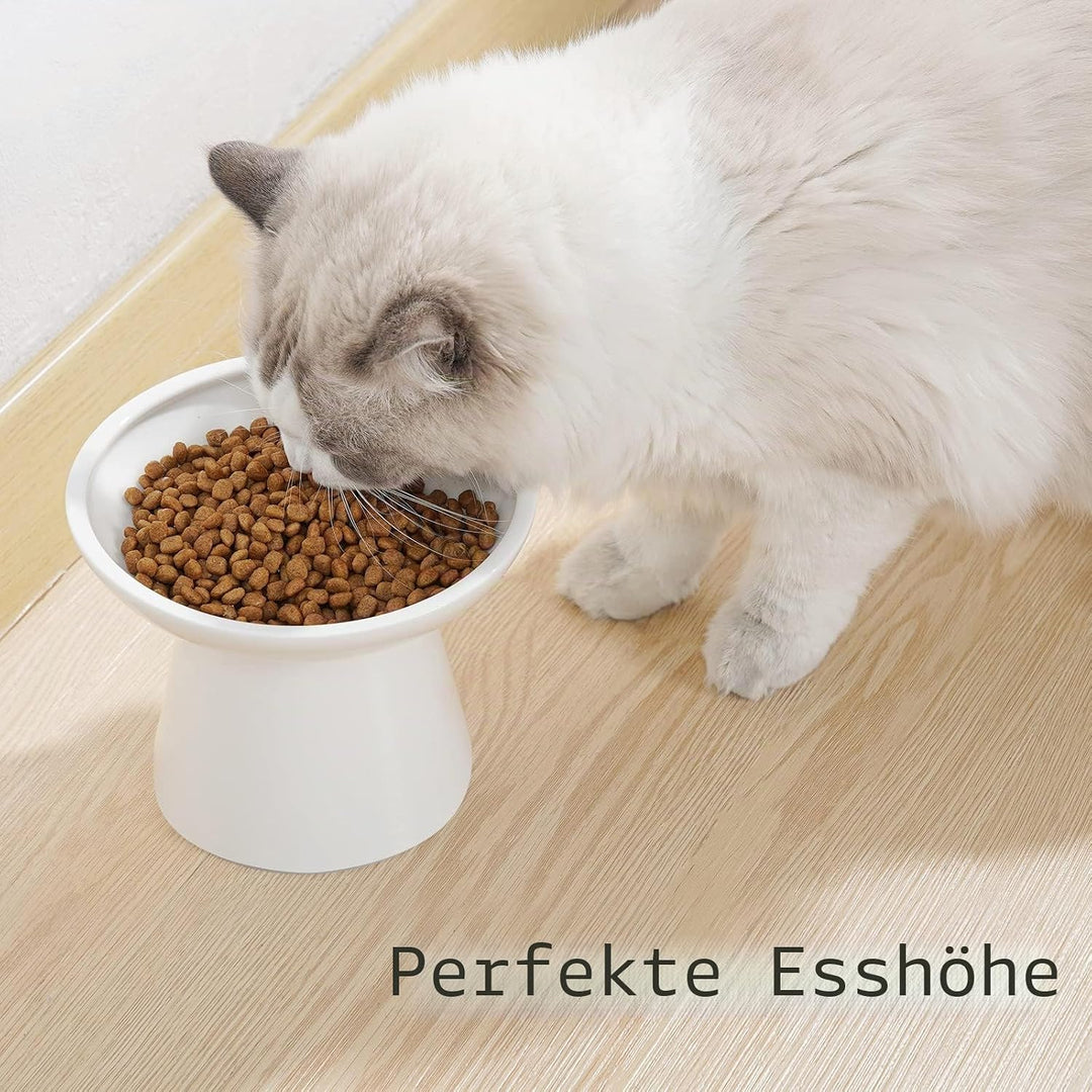 CEEFU Extra breite Katzennäpfe - keramischer Katzennapf 15,7cm Erhöhter Flacher Boden Katzennapf, Sc