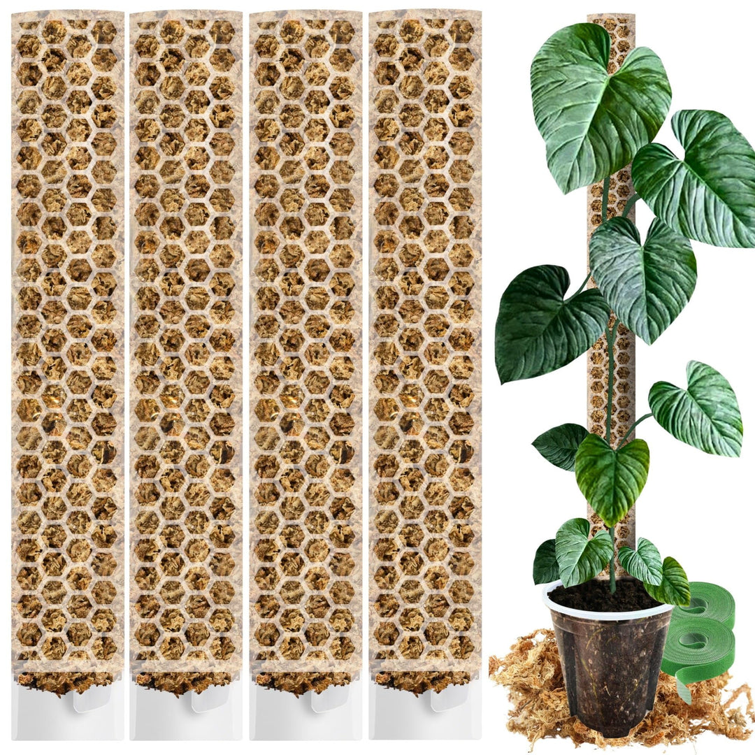 XL Moosstab für Monstera 4 Stück 63 x 9.5 cm - Erweiterbare Rankhilfe & Zubehör-Set - Pflanzstäbe mi