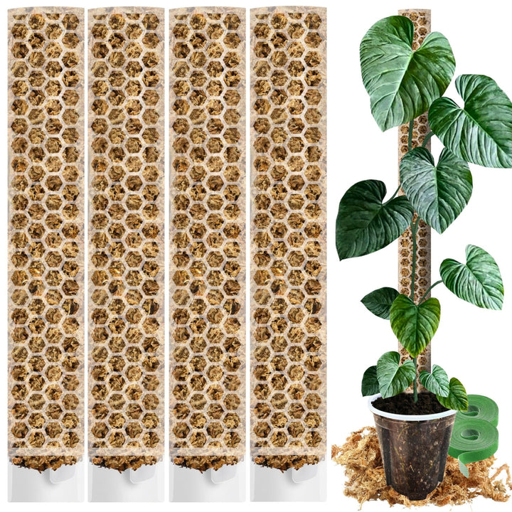 XL Moosstab für Monstera 4 Stück 63 x 9.5 cm - Erweiterbare Rankhilfe & Zubehör-Set - Pflanzstäbe mi