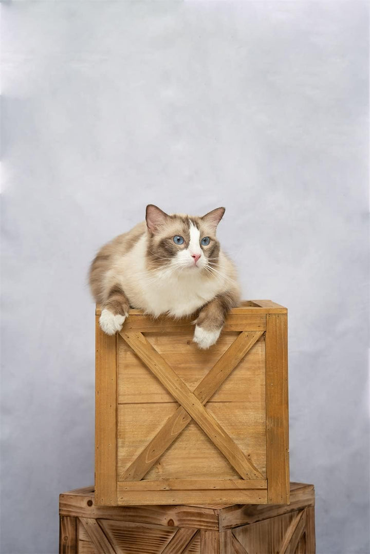 Kate Fotografie Hintergrund weiss 1,5x2,2m Retro-Fotostudio Rauchgrau Porträthintergrund Neugeborene