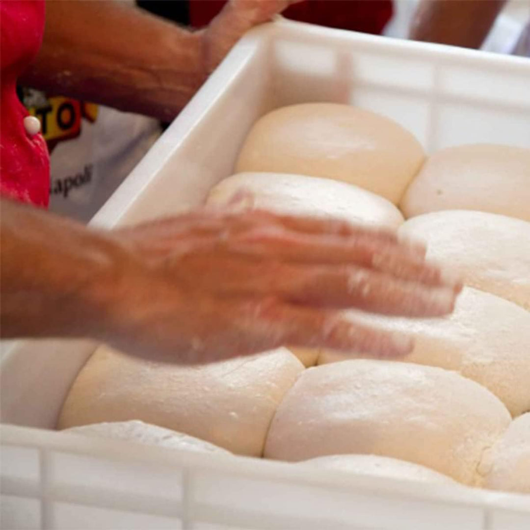 genus dei Dei | Hefekiste Pizza und Brot | | Lebensmittelbehälter für Teig | Teigkasten | Kunststoff