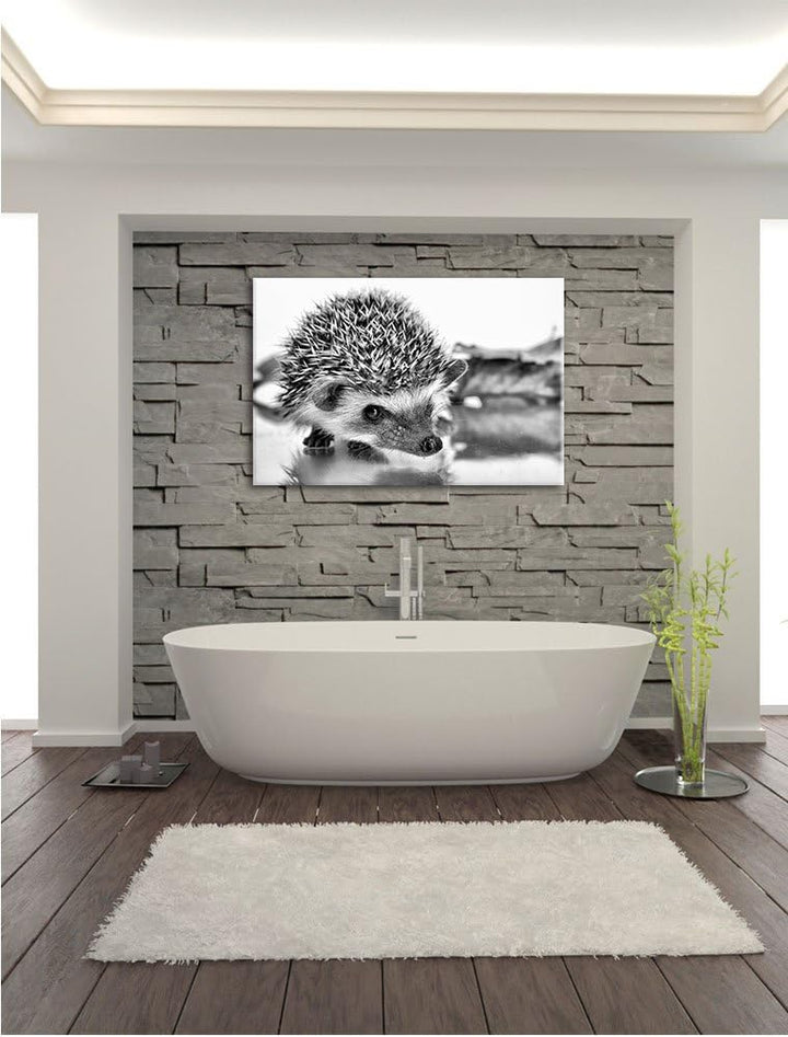 Monocrome, Süsser Igel , Format: 100x70 auf Leinwand, XXL riesige Bilder fertig gerahmt mit Keilrahm
