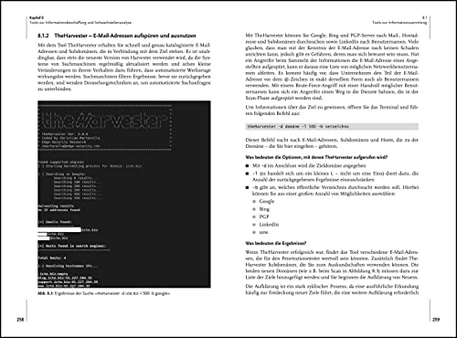 Einstieg in Kali Linux: Penetration Testing und Ethical Hacking mit Linux (mitp Professional)