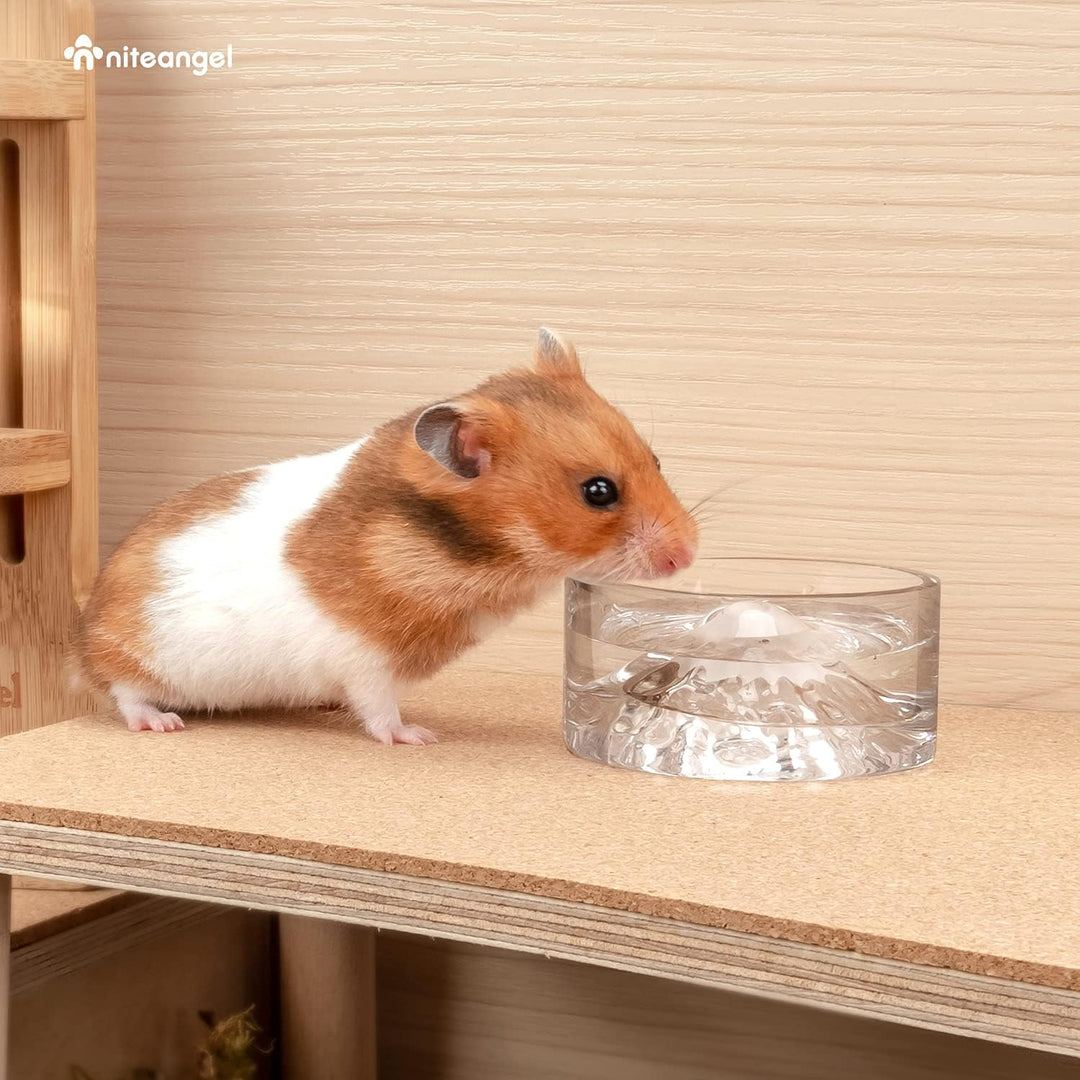 Niteangel Hamster-Futter- und Wasserschalen – Kleine Tier-Trinkschalen aus Glas für Zwerghamster, Wü