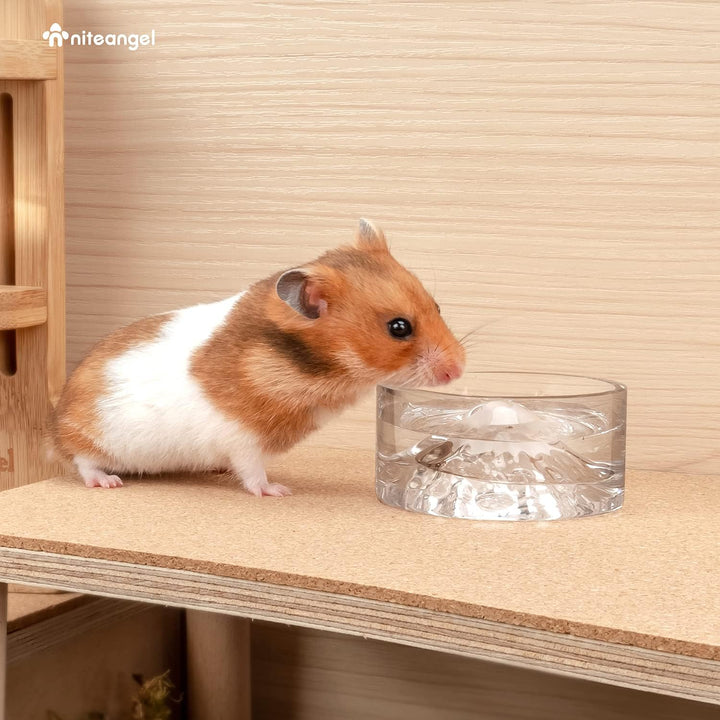 Niteangel Hamster-Futter- und Wasserschalen – Kleine Tier-Trinkschalen aus Glas für Zwerghamster, Wü