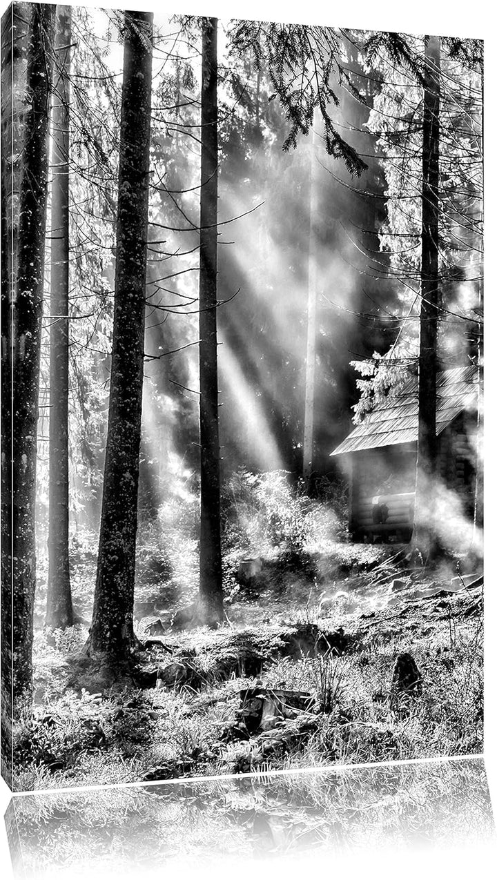 Pixxprint Monocrome, Sonnenstrahlen im Wald, Format: 100x70 auf Leinwand, riesige Bilder fertig gera
