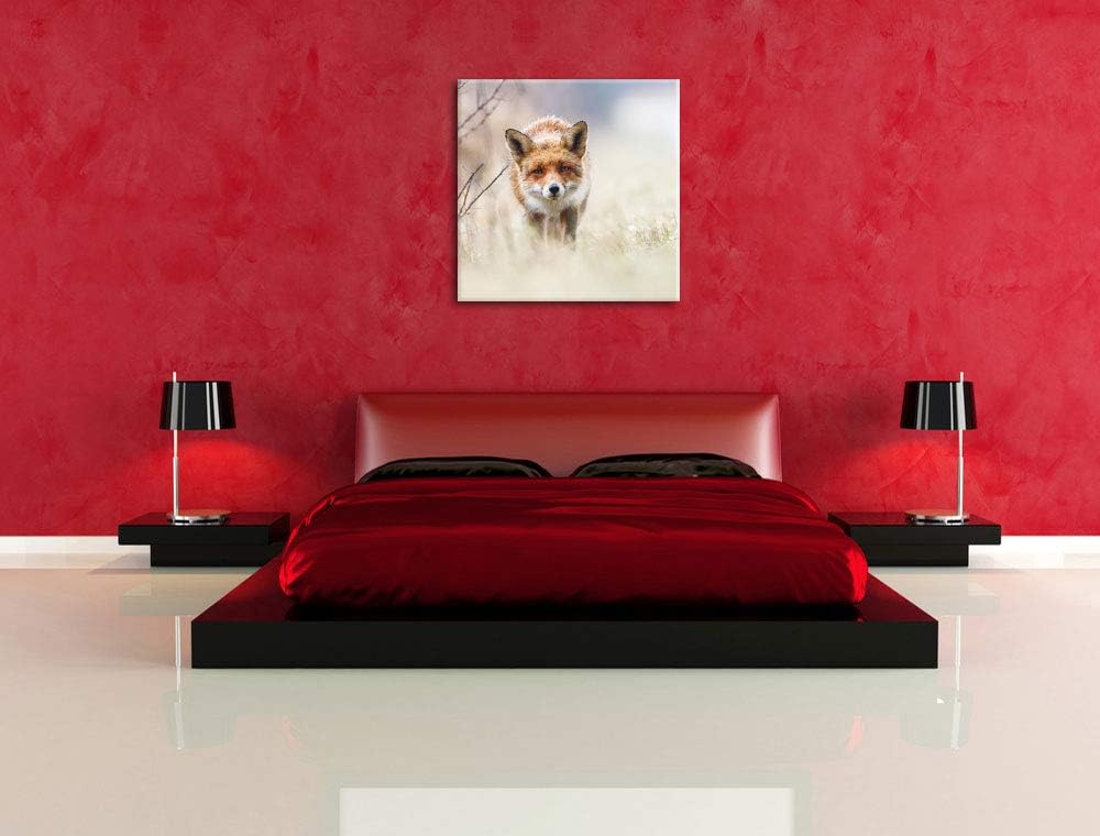 Schleichender fuchs, Format: 70x70 auf Leinwand, XXL riesige Bilder fertig gerahmt mit Keilrahmen, K