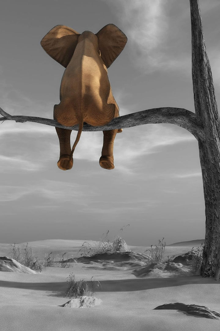 Pixxprint Glasbild | Wandbild aus Echtglas | Elefant auf einem Ast in der Wüste | 60x80 cm | inkl. A