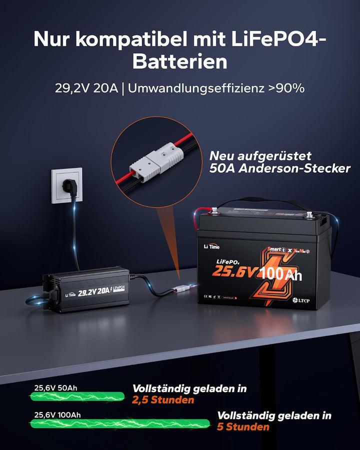 LiTime 24V 20A Lithium-Batterieladegerät, Mini-Grösse, 29,2 V Ausgang AC-DC