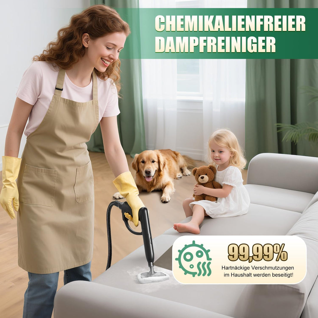 Rolipo Dampfreiniger, Dampfdruck: 4 Bar, Leistung: 2000 W, Tank: Max 2 L, Nutzungsdauer: 40 Minuten,